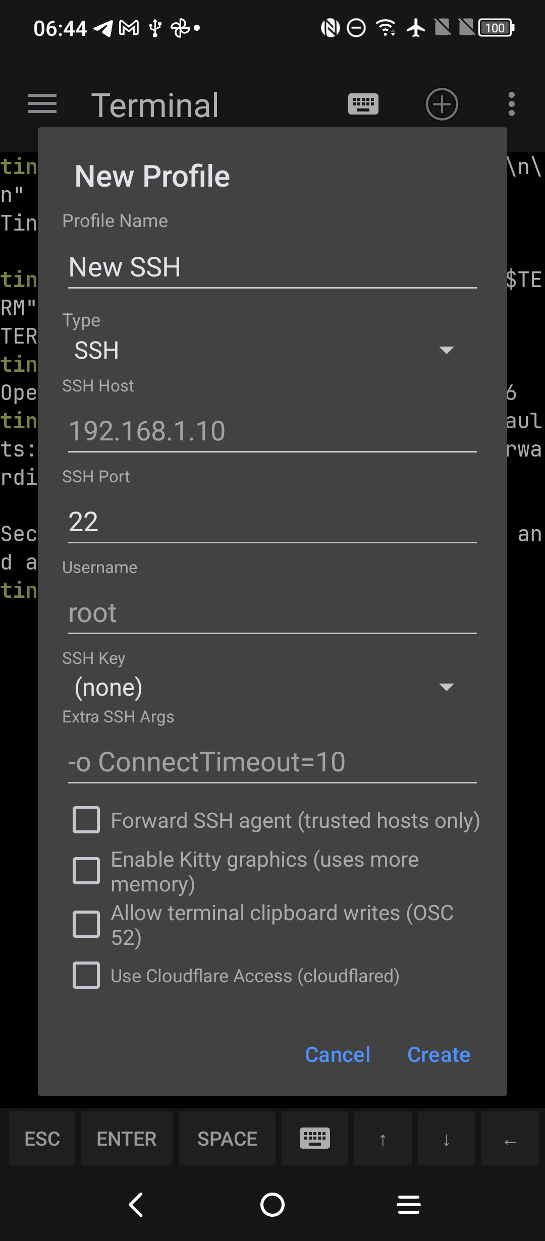 New SSH profile dialog with agent forwarding, Kitty graphics, and OSC 52 options disabled