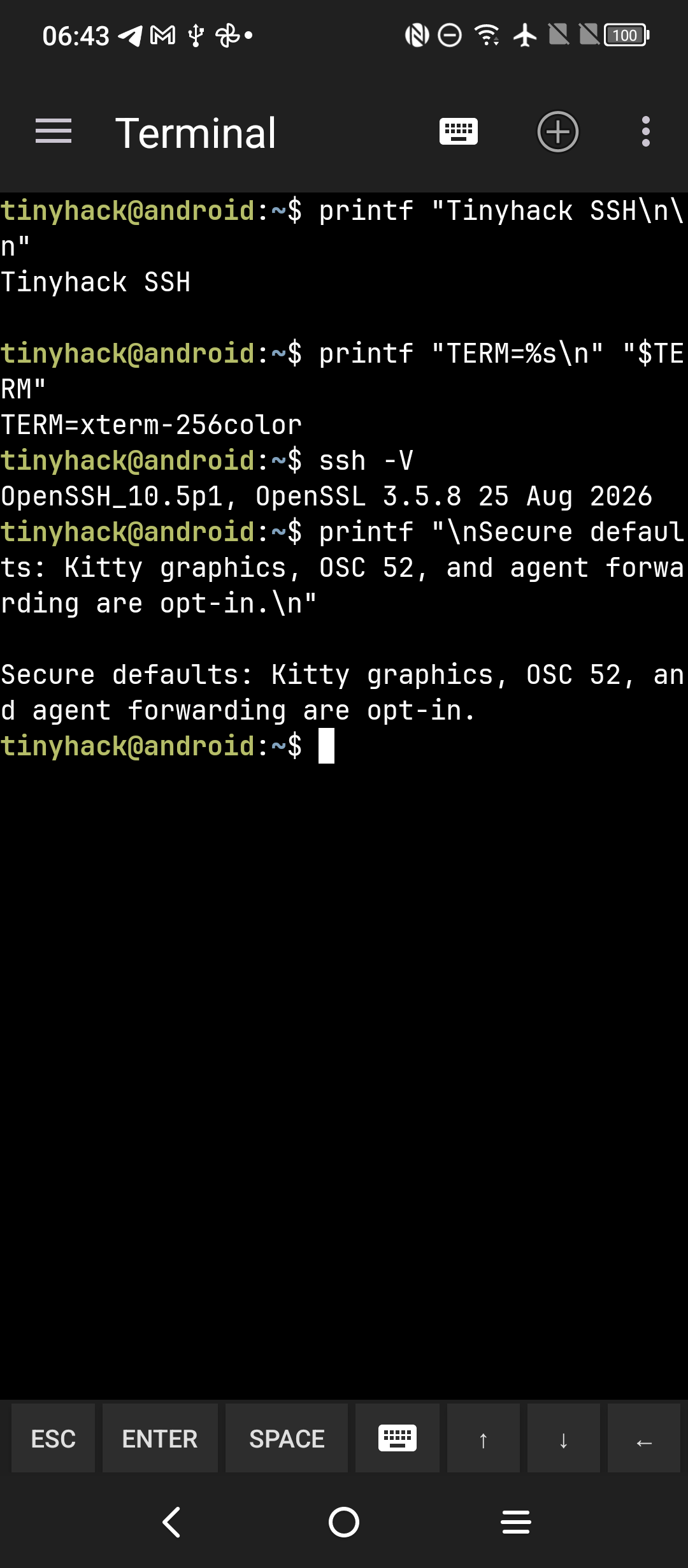 Tinyhack SSH terminal running commands in a local bash session
